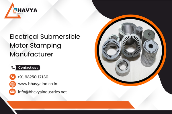 Electrical Submersible Motor Stamping Manufacturer